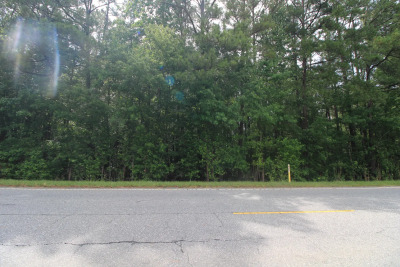 2.89 Acres of Wooded Privacy Near the Cape Fear River & Harris Lake photo 14