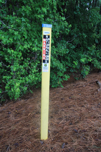 2.89 Acres of Wooded Privacy Near the Cape Fear River & Harris Lake photo 18