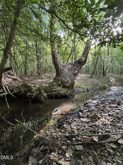 0 Beaver Dam Road photo 1