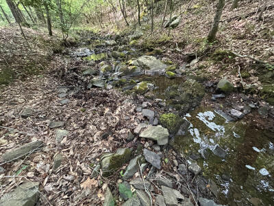 0 Beaver Dam Road photo 4