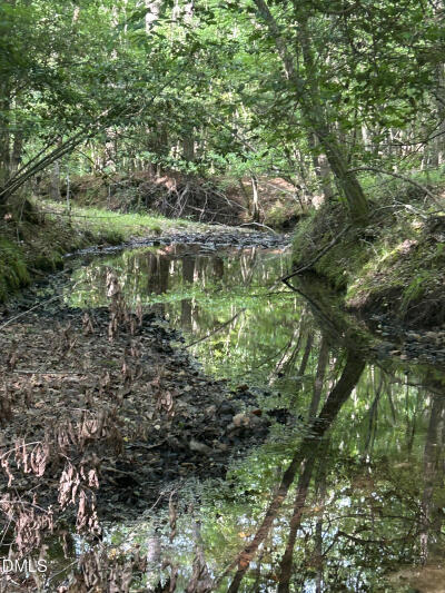 0 Beaver Dam Road photo 6