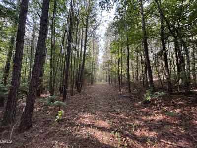 0 Beaver Dam Road photo 11