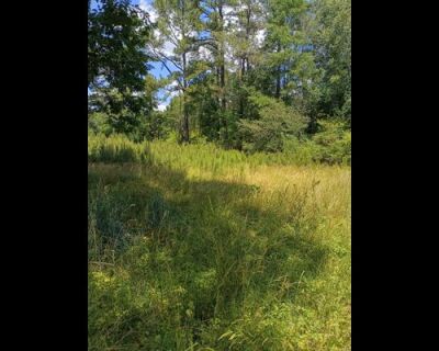 16 Adjoining Lots in Renovating Neighborhood Inside City of Durham photo 5