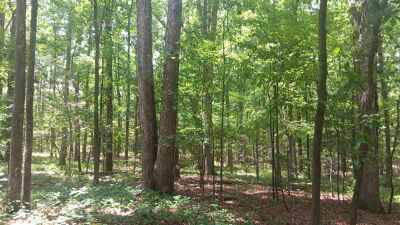 16.03 Acres near Falls Lake and Trails photo 3
