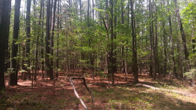 16.03 Acres near Falls Lake and Trails photo 6