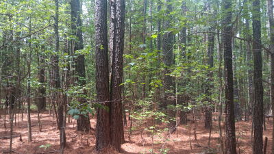 16.03 Acres near Falls Lake and Trails photo 7