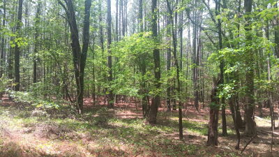 16.03 Acres near Falls Lake and Trails photo 8