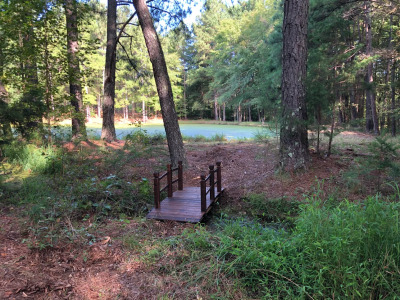 5.55 Acres w/ Private Pond &amp; Huge 20' Storage Building photo 3