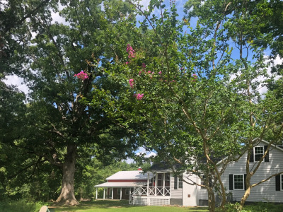 5.55 Acres w/ Private Pond &amp; Huge 20' Storage Building photo 8