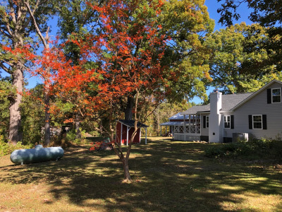 5.55 Acres w/ Private Pond &amp; Huge 20' Storage Building photo 12