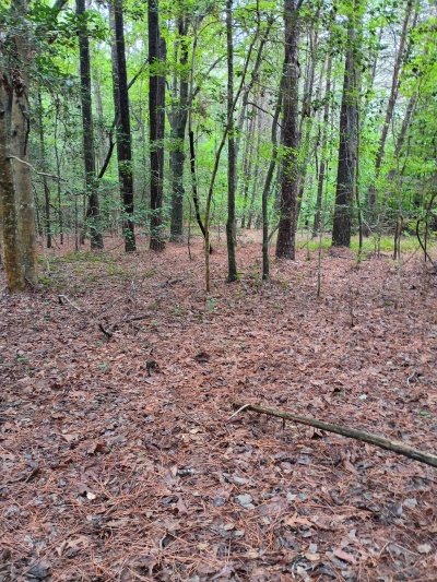 Waterfront, Mature trees, Home Site with Easy Commute photo 10