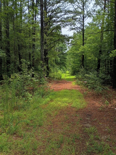 Waterfront, Mature trees, Home Site with Easy Commute photo 5