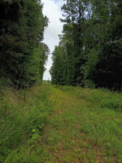 Waterfront, Mature trees, Home Site with Easy Commute photo 6