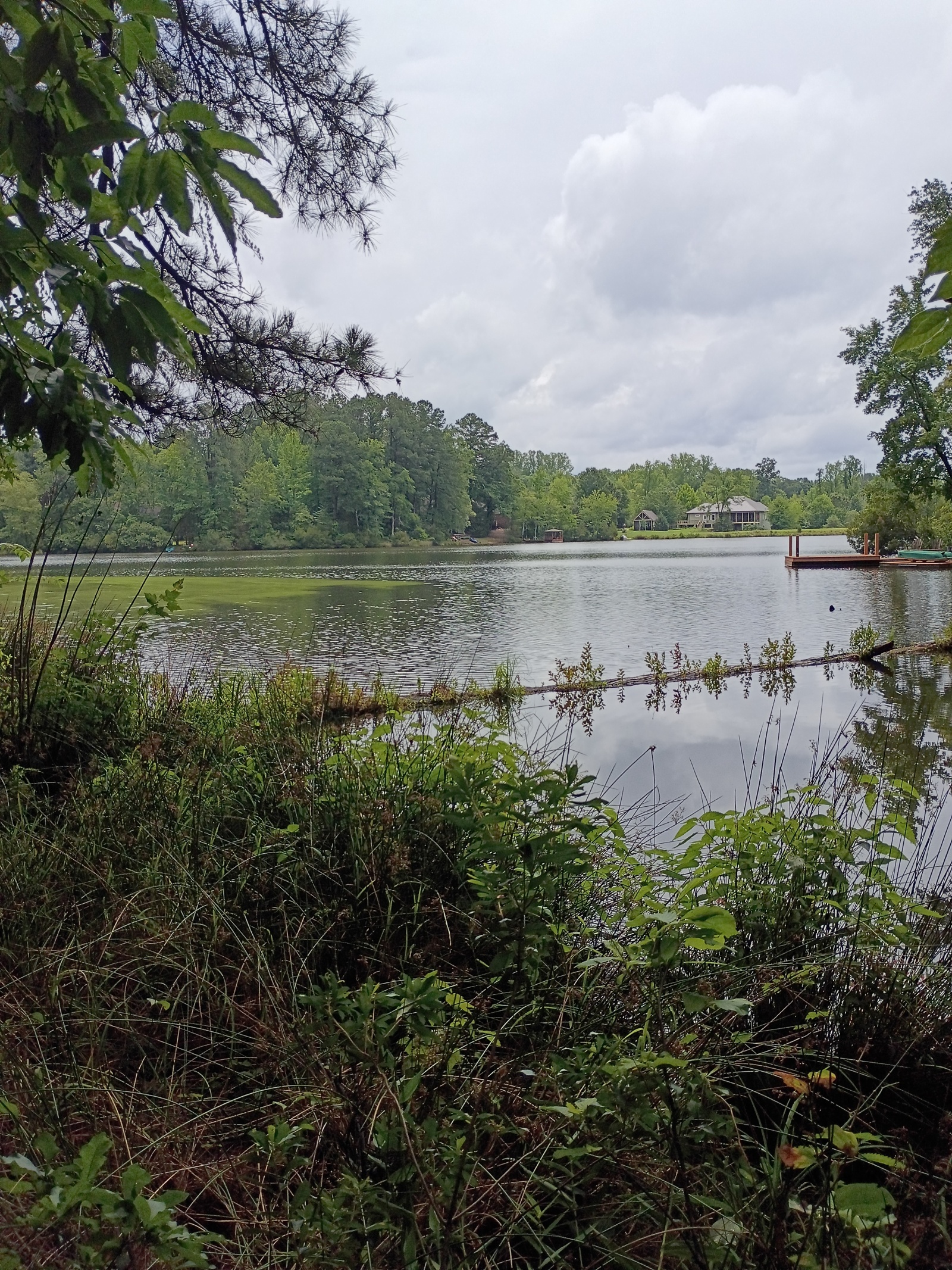 705 Timberlake Road