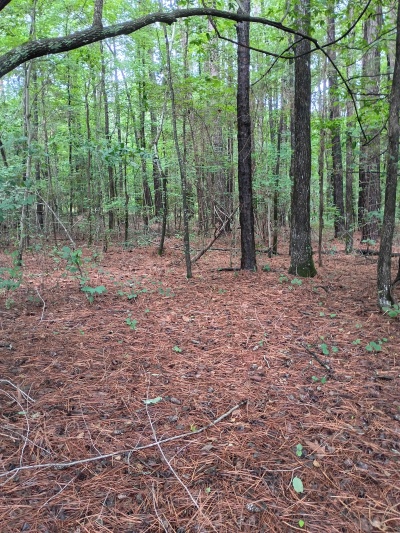 Waterfront, Mature trees, Home Site with Easy Commute photo 9