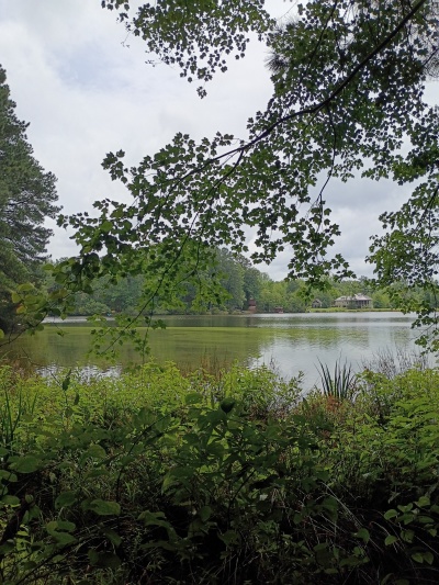 Waterfront, Mature trees, Home Site with Easy Commute photo 3