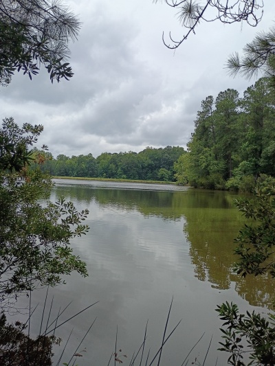 Waterfront, Mature trees, Home Site with Easy Commute photo 2