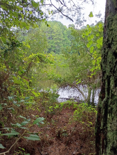 Waterfront, Mature trees, Home Site with Easy Commute photo 12