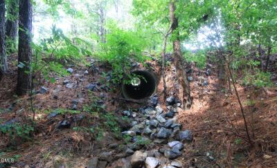 0 Hwy 42 photo 11
