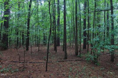 0 Hwy 42 photo 14