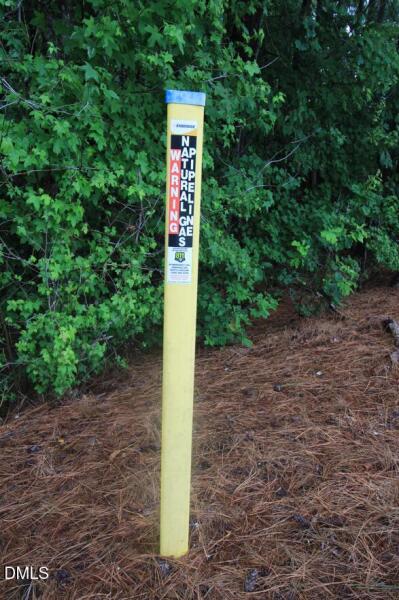 0 Hwy 42 photo 18