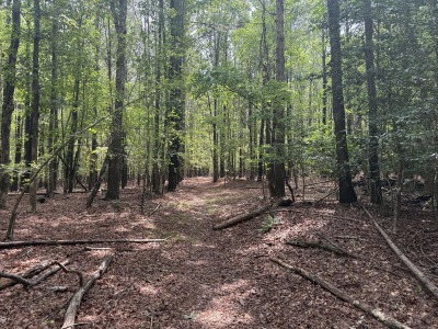 Tract D - Purnell Road photo 7