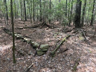Tract D - Purnell Road photo 8