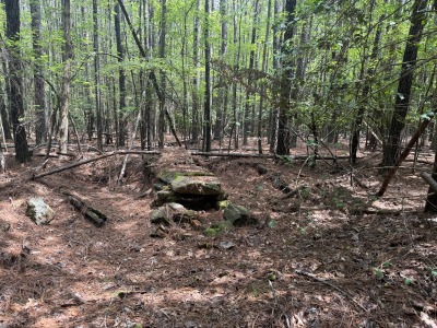 Tract D - Purnell Road photo 3