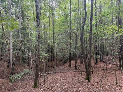Tract D - Purnell Road photo 4