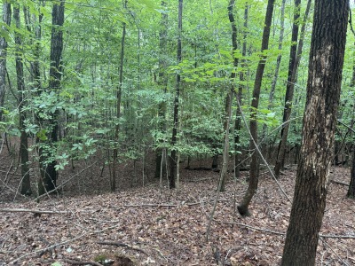Tract D - Purnell Road photo 6