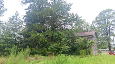 Gorgeous Property with Significant Road Frontage photo 2