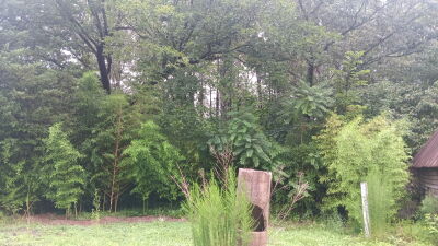 Gorgeous Property with Significant Road Frontage photo 3