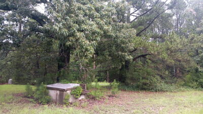 Gorgeous Property with Significant Road Frontage photo 8