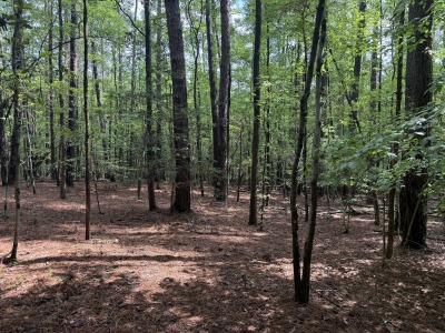 6111 Cheek Road - 15.95 Acres Durham County photo 5