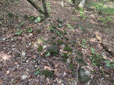 6111 Cheek Road - 15.95 Acres Durham County photo 6
