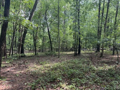 6111 Cheek Road - 15.95 Acres Durham County photo 7