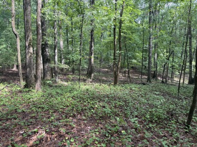 6111 Cheek Road - 15.95 Acres Durham County photo 3