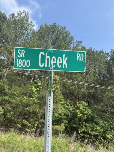 6111 Cheek Road - 15.95 Acres Durham County photo 11