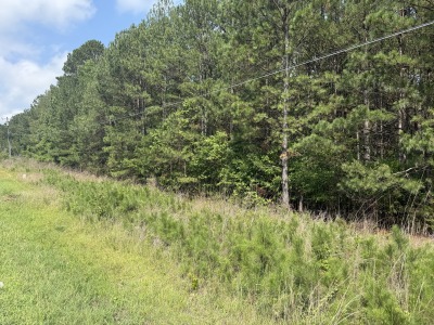 6111 Cheek Road - 15.95 Acres Durham County photo 12