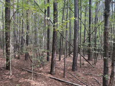 5828 Purnell Road - Tract C photo 17