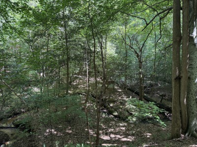 5828 Purnell Road - Tract C photo 5