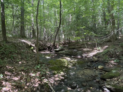 5828 Purnell Road - Tract C photo 9