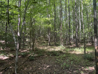 5828 Purnell Road - Tract C photo 12