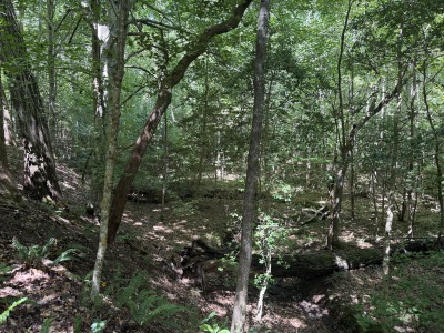 5828 Purnell Road - Tract C photo 13