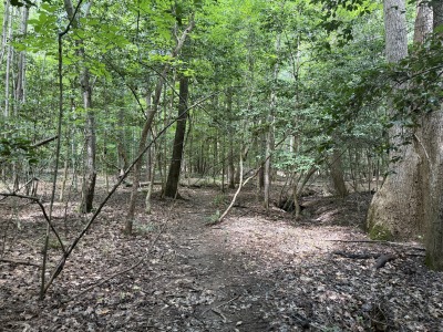 5828 Purnell Road - Tract C photo 14