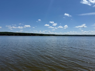 74.3 Acres Northwest Wake County photo 2