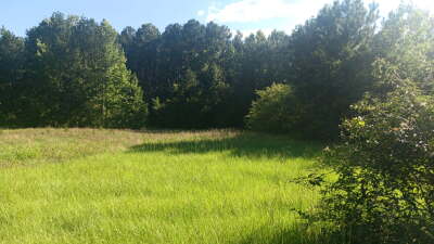 74.3 Acres Northwest Wake County photo 3
