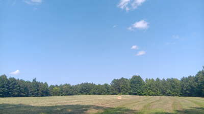 74.3 Acres Northwest Wake County photo 4