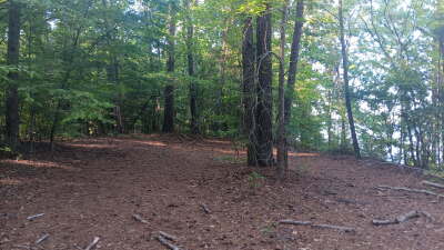 74.3 Acres Northwest Wake County photo 6