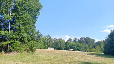 74.3 Acres Northwest Wake County photo 7